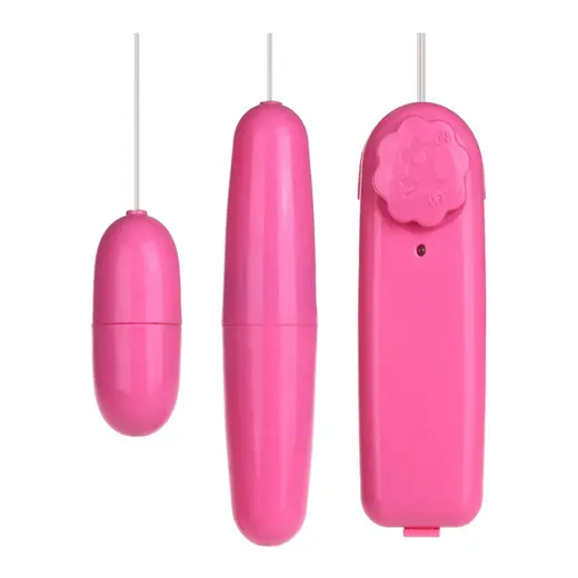 Remote Control Vibrating Double Egg Massager – Dual Stimulation Wellness Device - Image 3